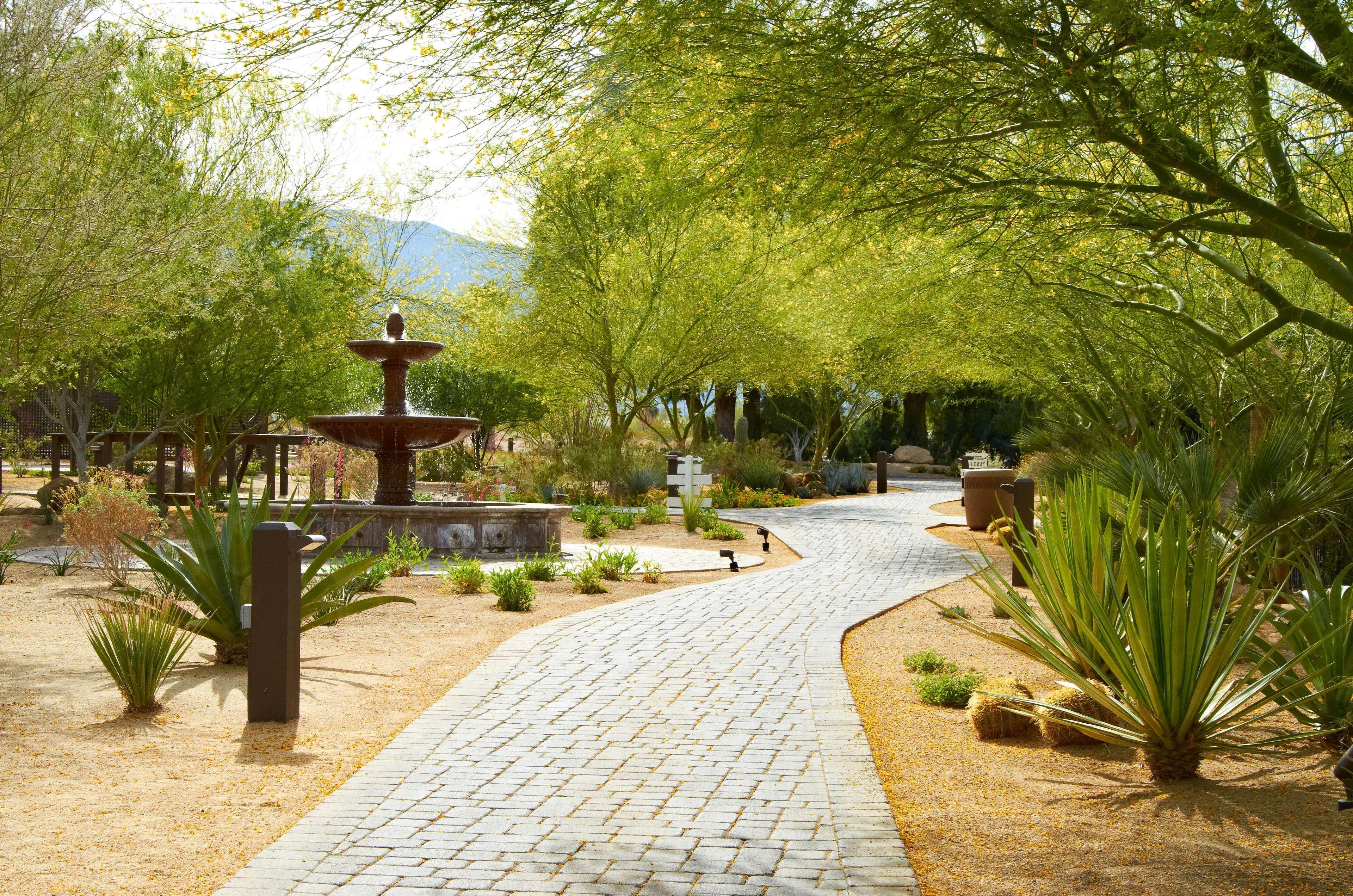 La Casa Del Zorro Resort & Spa Borrego Springs Zewnętrze zdjęcie