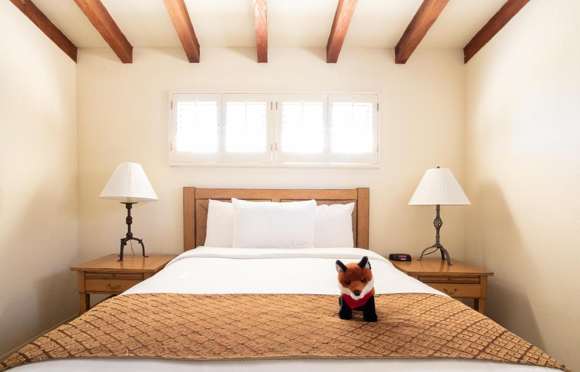 La Casa Del Zorro Resort & Spa Borrego Springs Zewnętrze zdjęcie